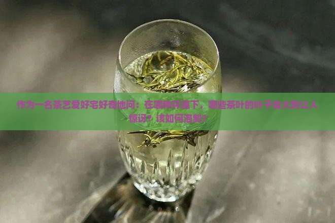 作为一名茶艺爱好宅好奇地问：在哪种环境下，哪些茶叶的叶子会大到让人惊讶？该如何泡制？