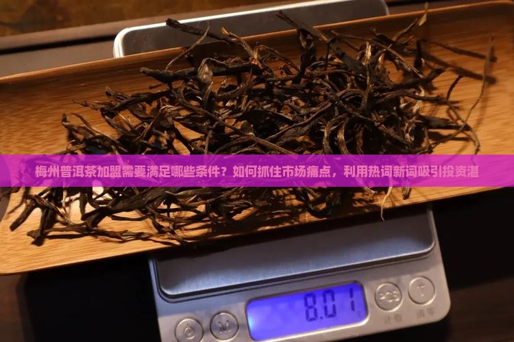 梅州普洱茶加盟需要满足哪些条件？如何抓住市场痛点，利用热词新词吸引投资湛