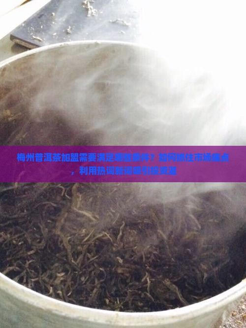 梅州普洱茶加盟需要满足哪些条件？如何抓住市场痛点，利用热词新词吸引投资湛