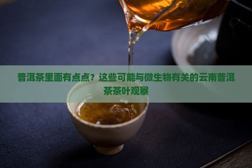 普洱茶里面有点点？这些可能与微生物有关的云南普洱茶茶叶观察