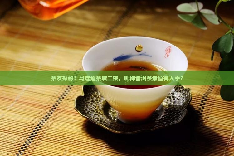 茶友探秘！马连道茶城二楼，哪种普洱茶最值得入手？