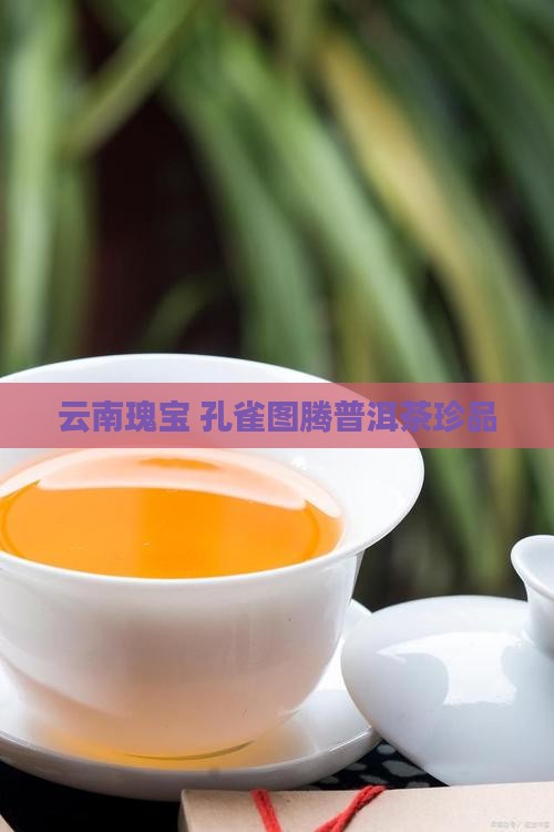 云南瑰宝 孔雀图腾普洱茶珍品