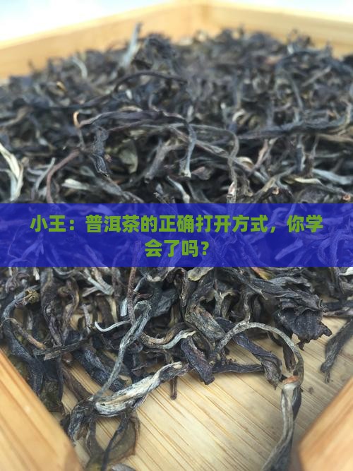 小王：普洱茶的正确打开方式，你学会了吗？