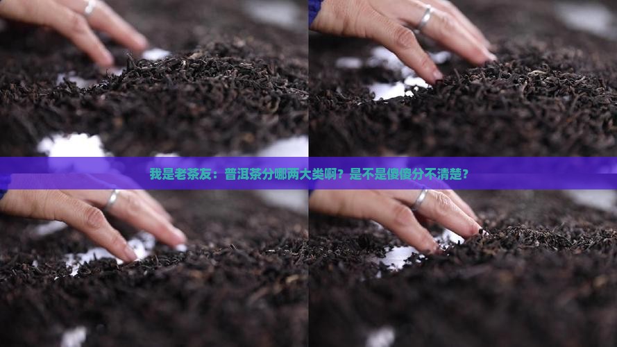 我是老茶友：普洱茶分哪两大类啊？是不是傻傻分不清楚？