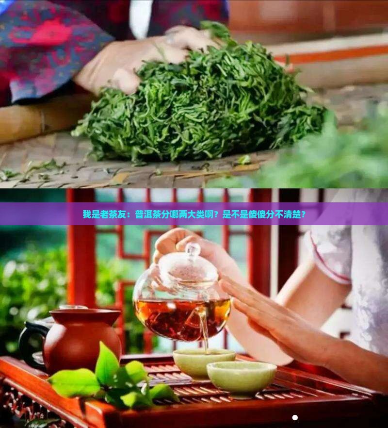 我是老茶友：普洱茶分哪两大类啊？是不是傻傻分不清楚？
