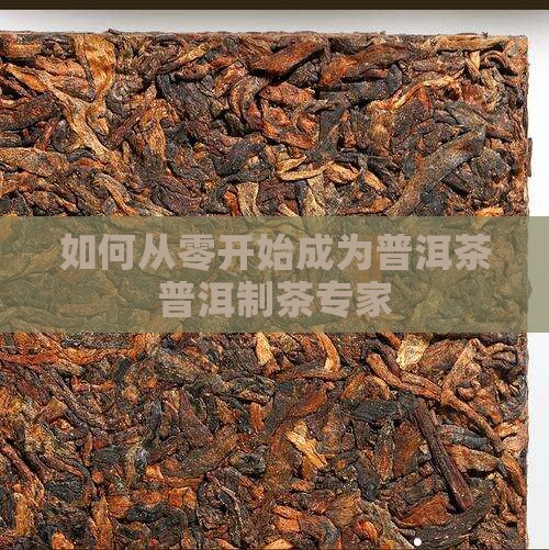 如何从零开始成为普洱茶普洱制茶专家