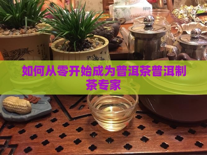 如何从零开始成为普洱茶普洱制茶专家