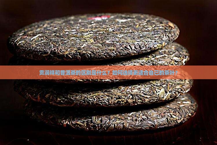 贡润祥和普洱茶的区别是什么？如何选择更适合自己的茶叶？
