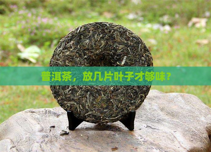 普洱茶，放几片叶子才够味？