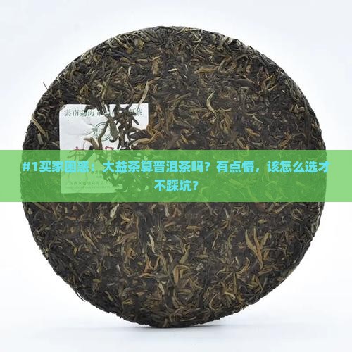 #1买家困惑：大益茶算普洱茶吗？有点懵，该怎么选才不踩坑？