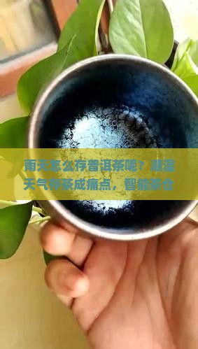 雨天怎么存普洱茶呢？潮湿天气存茶成痛点，智能茶仓新方式