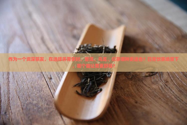 作为一个资深茶友，在选择养胃茶时，普洱、乌龙、红茶哪种更适合？日常饮茶场景下，哪个能让胃更舒服？