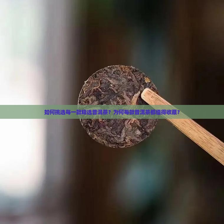 如何挑选每一款精选普洱茶？为何每款普洱茶都值得收藏？