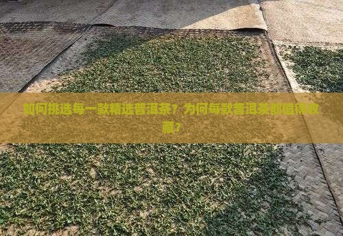 如何挑选每一款精选普洱茶？为何每款普洱茶都值得收藏？