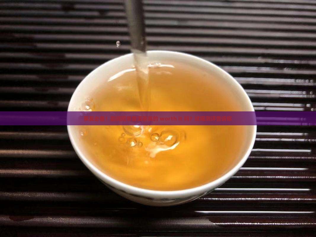 茶友必备！勐润班章普洱茶真的 worth it 吗？试喝测评告诉你