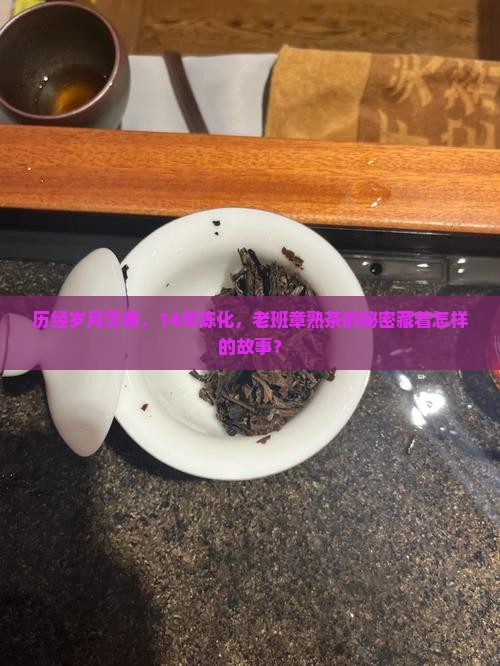 历经岁月沉香，14年陈化，老班章熟茶的秘密藏着怎样的故事？