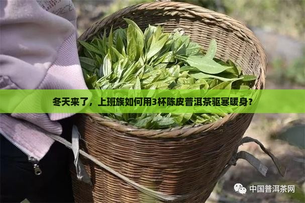 冬天来了，上班族如何用3杯陈皮普洱茶驱寒暖身？