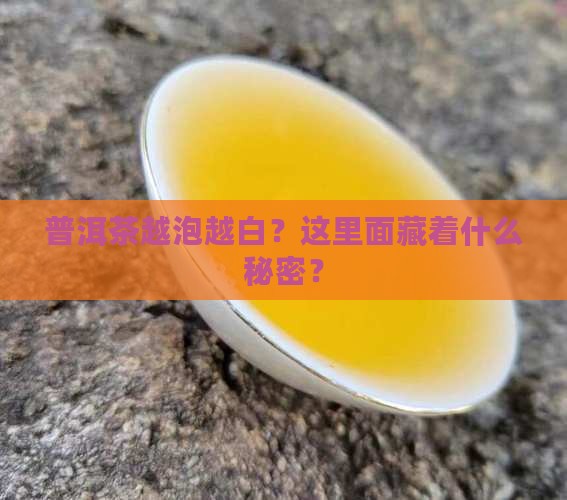 普洱茶越泡越白？这里面藏着什么秘密？