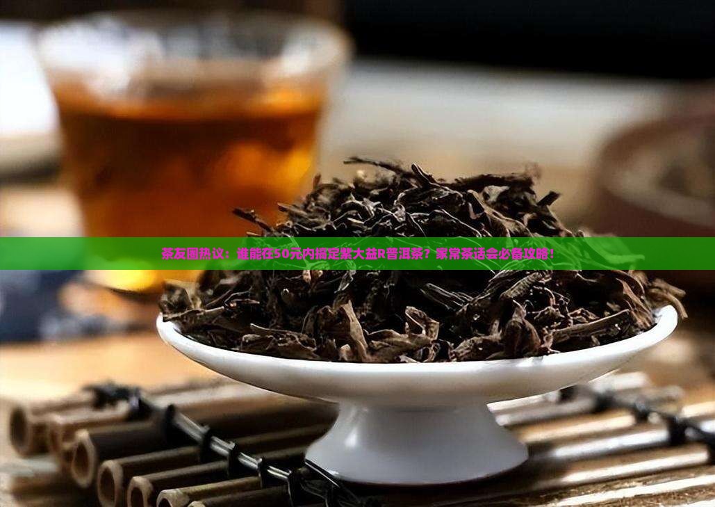 茶友圈热议：谁能在50元内搞定紫大益R普洱茶？家常茶话会必备攻略！