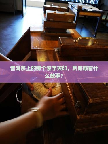 普洱茶上的那个紫字黄印，到底藏着什么故事？