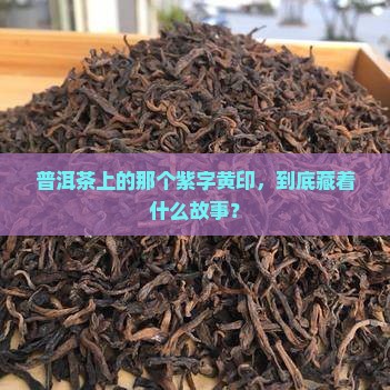 普洱茶上的那个紫字黄印，到底藏着什么故事？