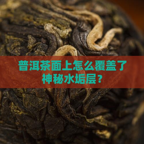 普洱茶面上怎么覆盖了神秘水垢层？