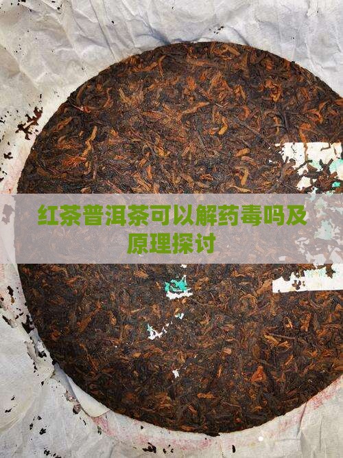 红茶普洱茶可以解药毒吗及原理探讨