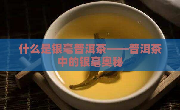 什么是银毫普洱茶——普洱茶中的银毫奥秘