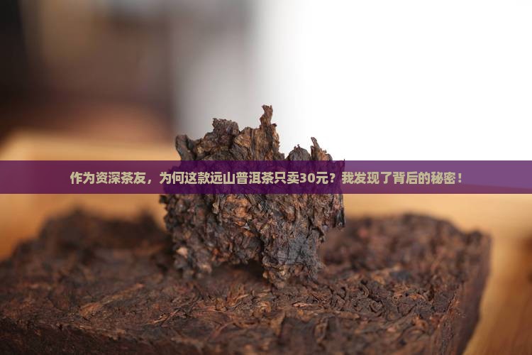 作为资深茶友，为何这款远山普洱茶只卖30元？我发现了背后的秘密！