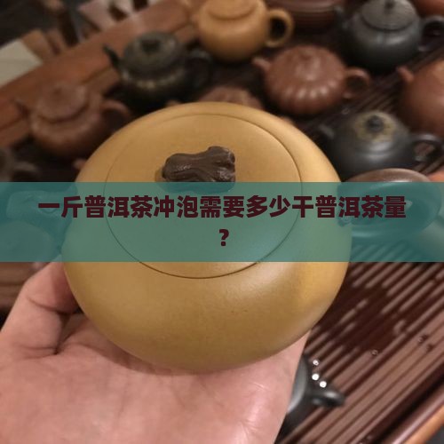 一斤普洱茶冲泡需要多少干普洱茶量？