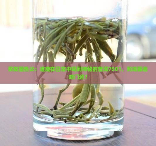 茶友圈热议：谁能在日常中喝到神秘的普洱7581，到底藏着啥门道？
