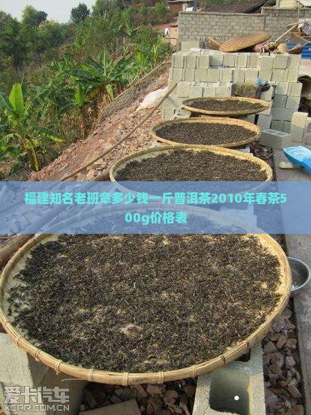 福建知名老班章多少钱一斤普洱茶2010年春茶500g价格表