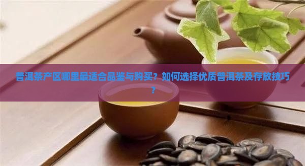 普洱茶产区哪里最适合品鉴与购买？如何选择优质普洱茶及存放技巧？