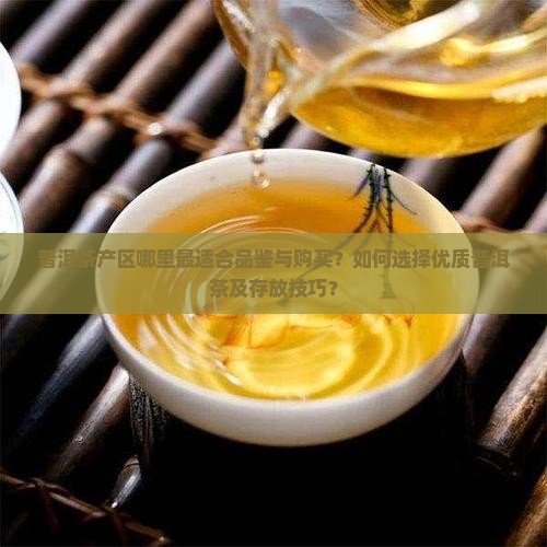 普洱茶产区哪里最适合品鉴与购买？如何选择优质普洱茶及存放技巧？