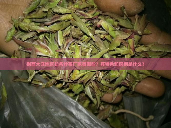 揭西大洋地区知名炒茶厂家有哪些？其特色和区别是什么？