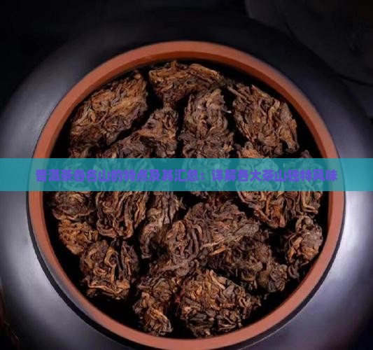 普洱茶各名山的特点及其汇总：详解各大茶山独特风味