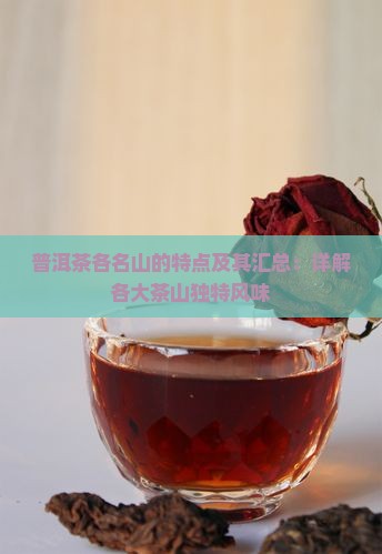 普洱茶各名山的特点及其汇总：详解各大茶山独特风味