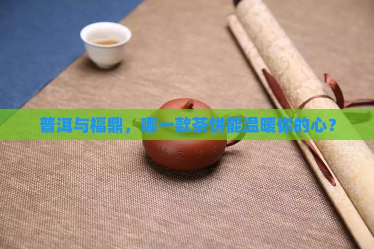 普洱与福鼎，哪一款茶饼能温暖你的心？
