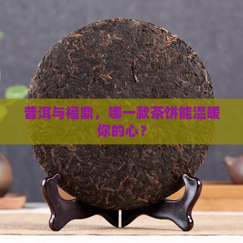 普洱与福鼎，哪一款茶饼能温暖你的心？