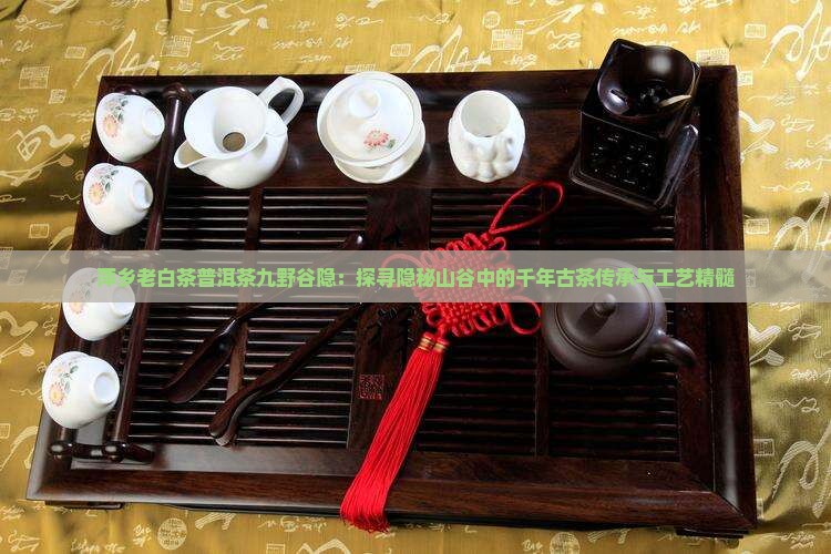 萍乡老白茶普洱茶九野谷隐：探寻隐秘山谷中的千年古茶传承与工艺精髓