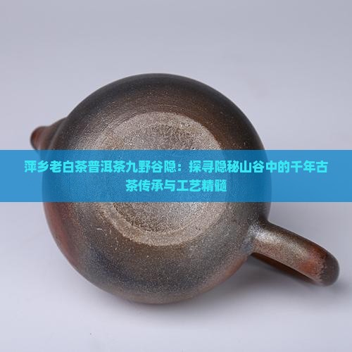 萍乡老白茶普洱茶九野谷隐：探寻隐秘山谷中的千年古茶传承与工艺精髓