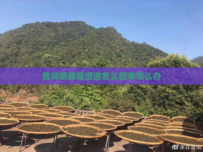 普洱茶都是渣渣怎么回事怎么办