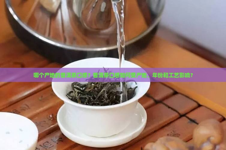 哪个产地的普洱茶口感？普洱茶口感如何受产地、年份和工艺影响？