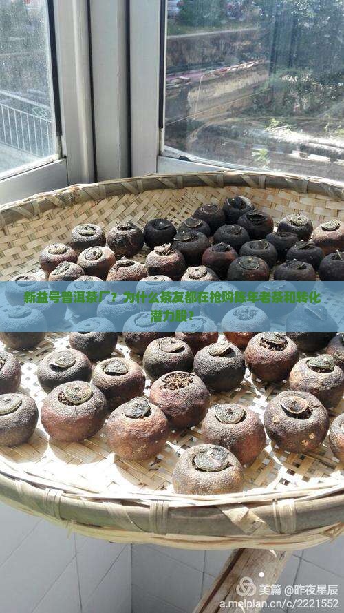 新益号普洱茶厂？为什么茶友都在抢购陈年老茶和转化潜力股？