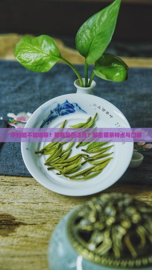 孕妇能不能喝茶？藏茶是否适合？解密藏茶特点与口感