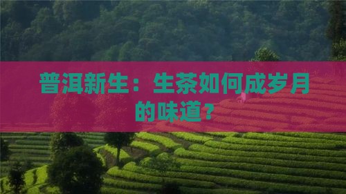 普洱新生：生茶如何成岁月的味道？