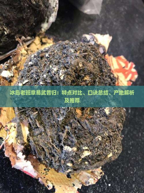 冰岛老班章易武昔归：特点对比、口诀总结、产地解析及推荐