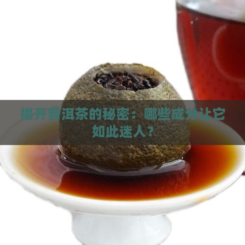 揭开普洱茶的秘密：哪些成分让它如此迷人？