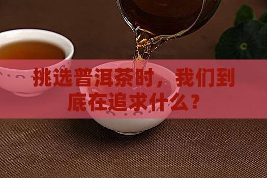 挑选普洱茶时，我们到底在追求什么？
