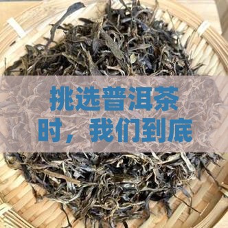 挑选普洱茶时，我们到底在追求什么？